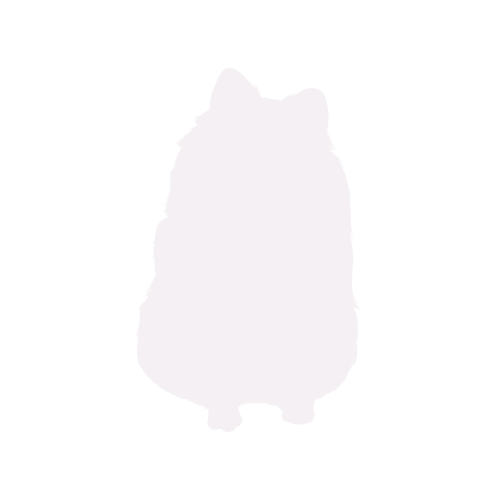 Hundesilhouette Zwergspitz sitzend
