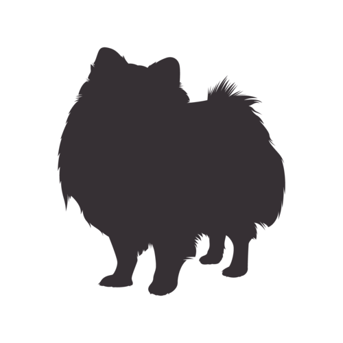 Hundesilhouette Zwergspitz stehend