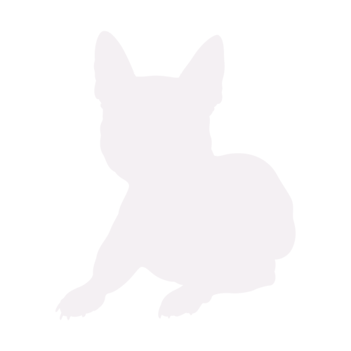 Hundesilhouette Französische Bulldogge sitzend