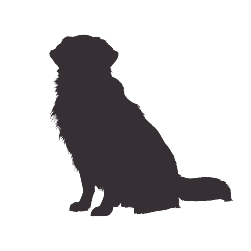 Hundesilhouette Golden Retriever sitzend
