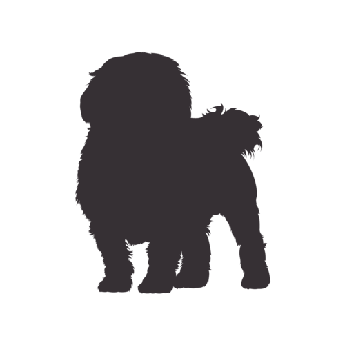 Hundesilhouette Malteser stehend