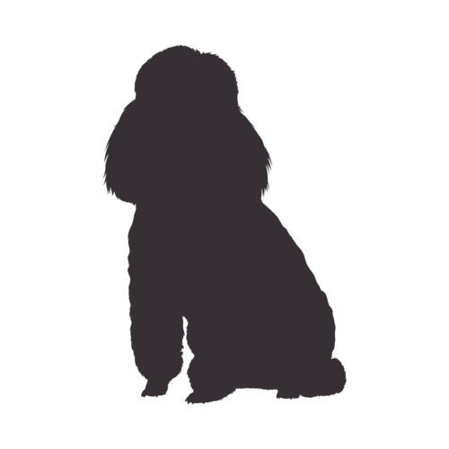 Hundesilhouette Pudel sitzend