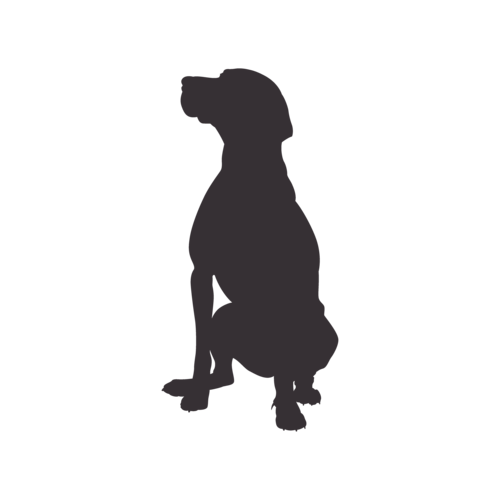 Hundesilhouette Magyar Vizsla sitzend