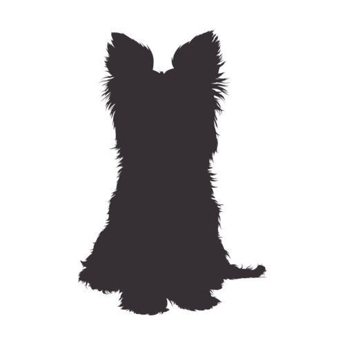 Hundesilhouette Yorkshire Terrier sitzend